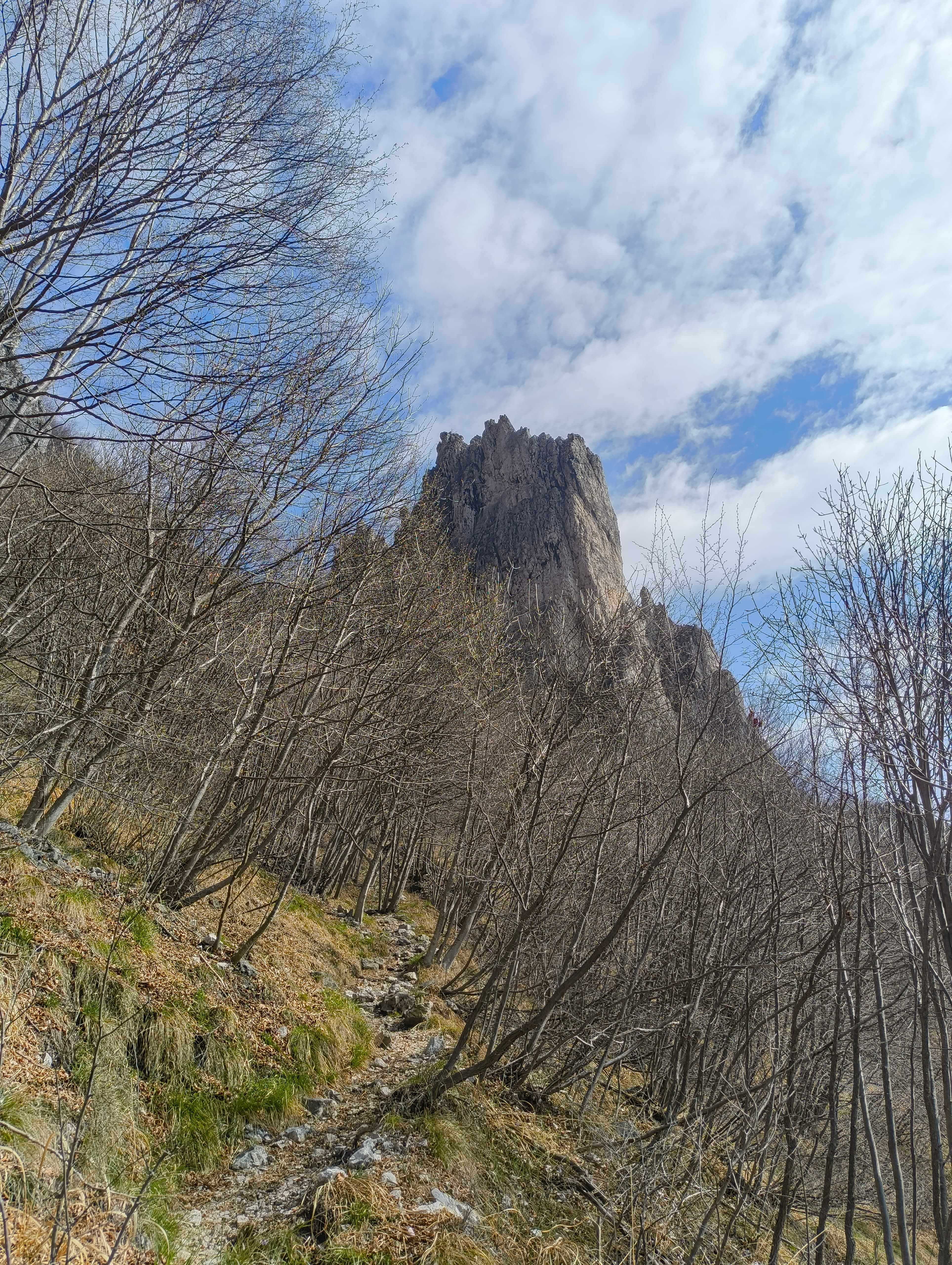 Foto n° 1 del trekking Cresta OSA